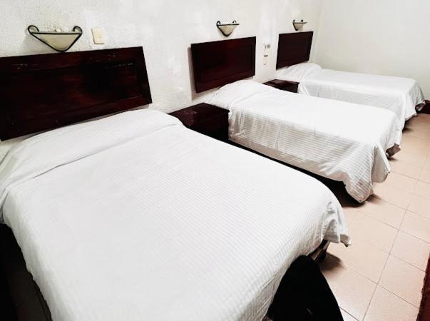 Hotel Nueva Antequera Oaxaca Extérieur photo